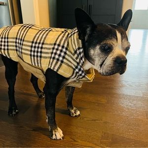 Doggy winter jackets, S(red)-M(beige), reversible, easy to put on and take off